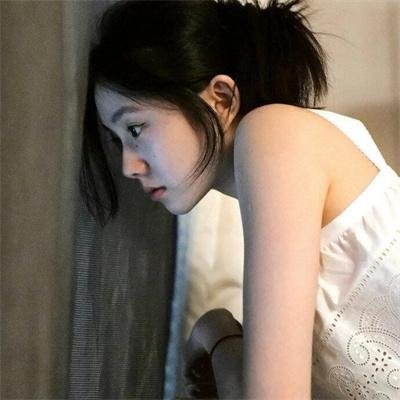 骚狐狸